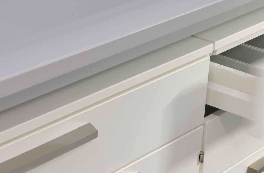 4 Storage cabinets Our SCALA laboratory furniture system provides you the greatest possible selection of storage variations for quick access and safe storage.