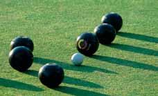 Primo Maxx for Bowls & other sports turf surfaces Primo Maxx is approved for use on bowling greens and other sports turf surfaces, including cricket squares, croquet lawns and tennis courts.