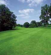 sward condition in shade Less stress = Healthier turf Fairways Reduced mowing frequency Lower maintenance costs Superior ball lie Better drought resistance Quicker recovery from stress Improved wear