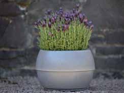 Award winning design and functionally decorative planters with a watering system and a water level indictor that reduces watering time and removes guesswork.