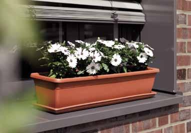 outdoor Troughs without watering system top tip Hydro clay can be used as drainage in the non-self watering flower boxes.
