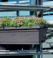 outdoor Troughs without watering system How much soil for