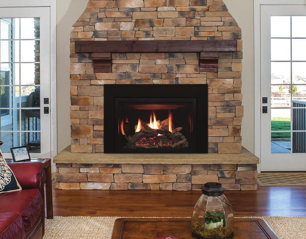 Rushmore Direct-Vent Fireplace Inserts with TruFlame Technology Rushmore 30-inch Direct-Vent Fireplace Insert with Black Porcelain Liner and Driftwood Log Set Rushmore Inserts with TruFlame