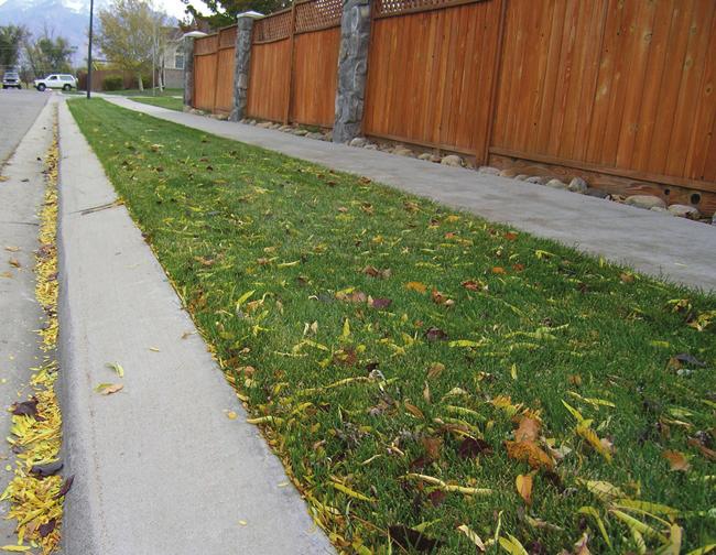 Typical grass park strips are difficult to water efficiently, and keeping them green can use a lot of water.