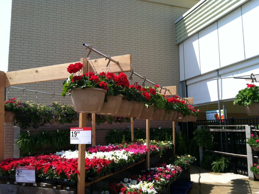 Not enough display space Hanging Baskets Need to spend time before season to determine