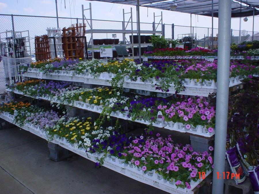 Small Potted Products Proven Winners (PW) Highly respected brand name First table location Garden Exclusives- Keep separate from PW to establish own identity Wave Petunias & Geraniums Full sun, good