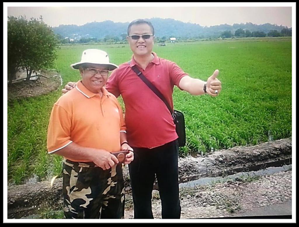 Project Wasan In October 2013, XXL team collaborated with Pehin Dato Haji Mohammed, a local paddy farm owner in Wasan Brunei Darussalam, to test out the effects of XXL Bio Green Energy treatment.