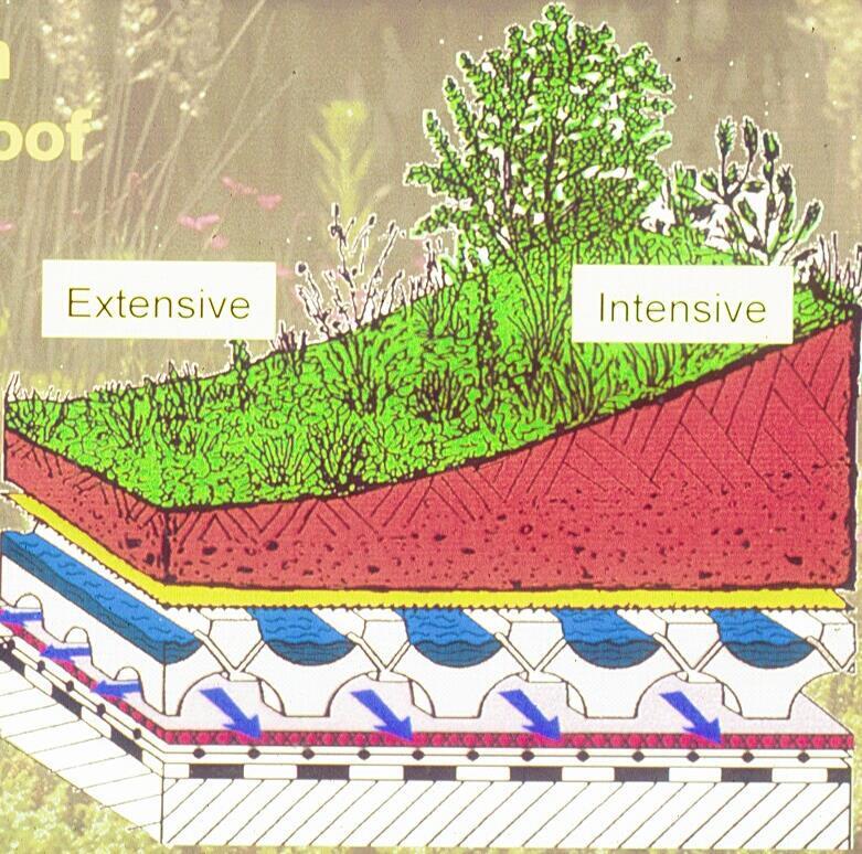 Types of Green Roofs