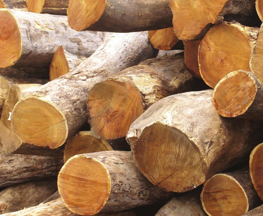 It couldn t be easier to heat a building or multiple buildings more economically with wood.
