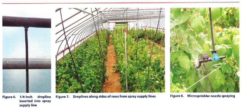 A Fixed-Spray System for SWD Management in High Tunnel Raspberries Arthur Agnello, Andrew Landers, and Greg Loeb Department of Enomology, NYSAES,