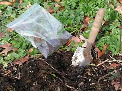 Complete Soil Testing UMASS and UCONN When to recommend full