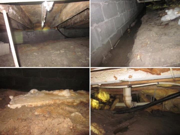 Water has been entering into the crawlspace from both the exterior and the master shower.