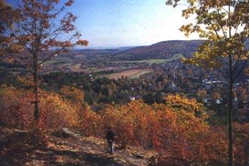 Figure 1. Woodstock, Vermont, and Billings Farm (part of Marsh-Billings-Rockefeller National Historical Park), from the South Peak of Mount Tom. Photo by Barbara Slaiby. capita investment (e.g., education) to more permanent and specific protections (e.