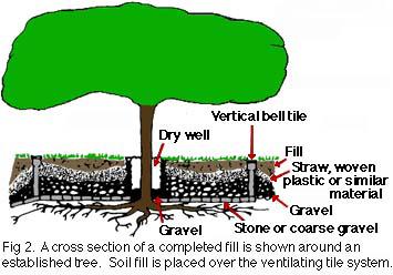 Placing sufficient coarse gravel in the tree well to cover the ends of the lines opening into the well will discourage rodents from eating the system.