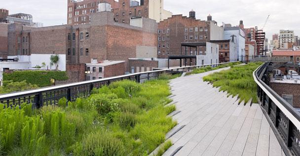 The High Line, NY, NY What are some projects with which you have been involved which have incorporated sustainable design/ environmental elements or concepts?