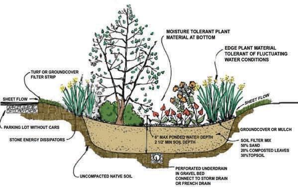 Rain garden cross section 20% Installation standards To obtain a single family residential property credit for a rain garden the following standards and requirements must be met: At least 25 % of the