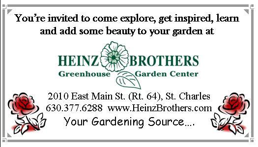 Upcoming events (outside the club) Garfield Farm Museum s Heirloom Garden Show Sunday, 8/27 11 am - 4 pm.