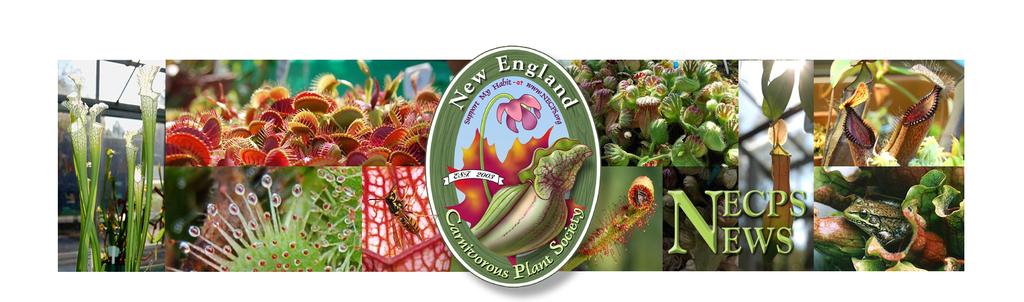 New England Carnivorous Plant Society (www.necps.