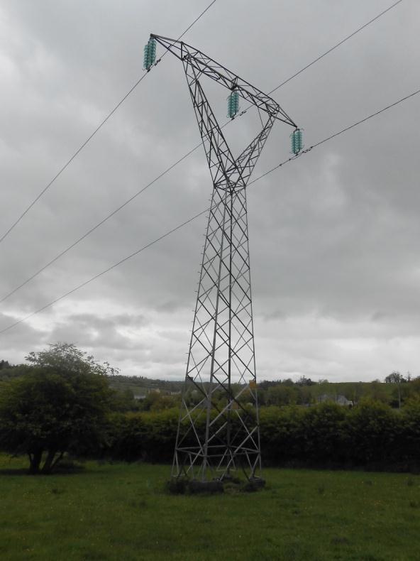 Figure 2-4: Example of a typical 110 kv Intermediate Lattice Steel Tower Existing poleset IMP100 is located in gorse scrub that occurs adjacent to a hedgerow.