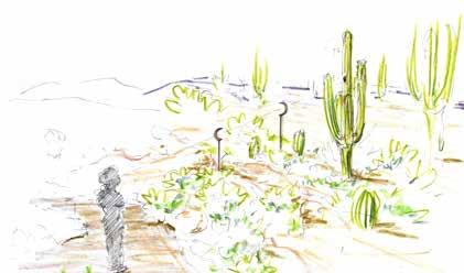 REVEAL THE DESERT: FOUR QUESTIONS Small Footprint, Big Vision The concept living in the desert suggests peeling back the layers of the local environment, and the history, myths and assumptions about