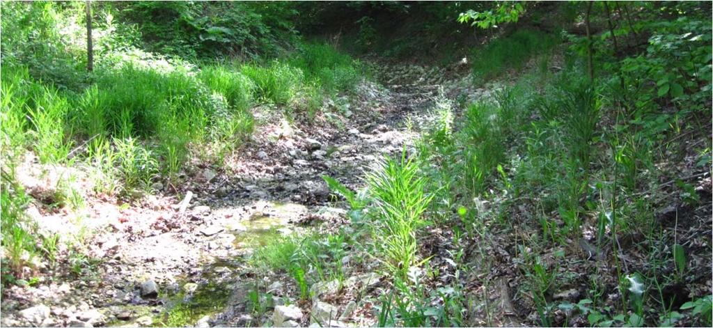 Restoration Address storm water degradation of habitat Stabilize
