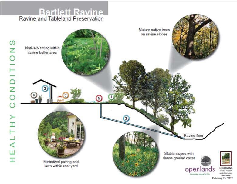 Residential Landowner Guides For landowners with ravines or