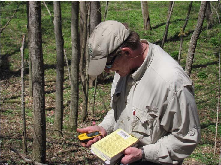 Volunteers collect invasive plant data Data