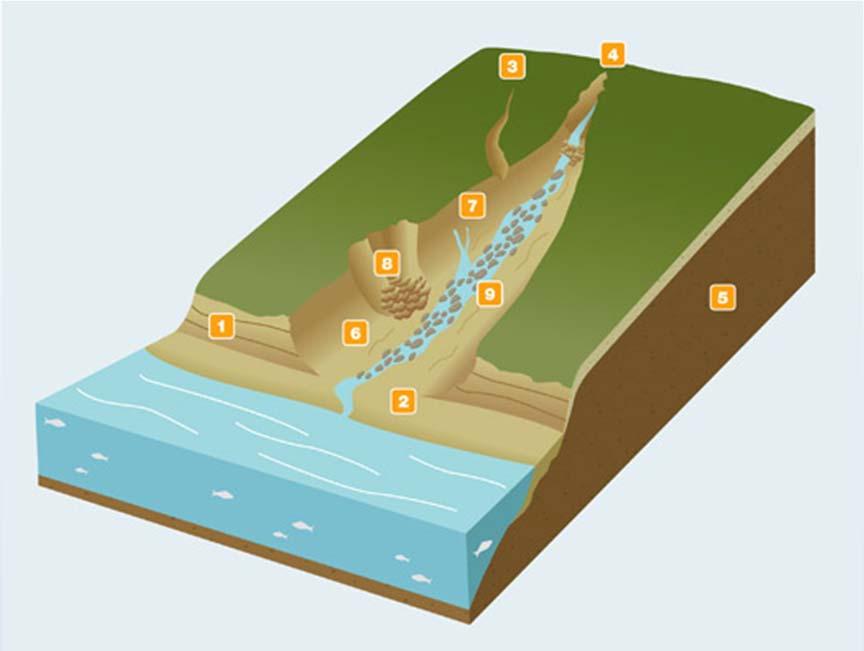 valleys Natural drainage to Lake