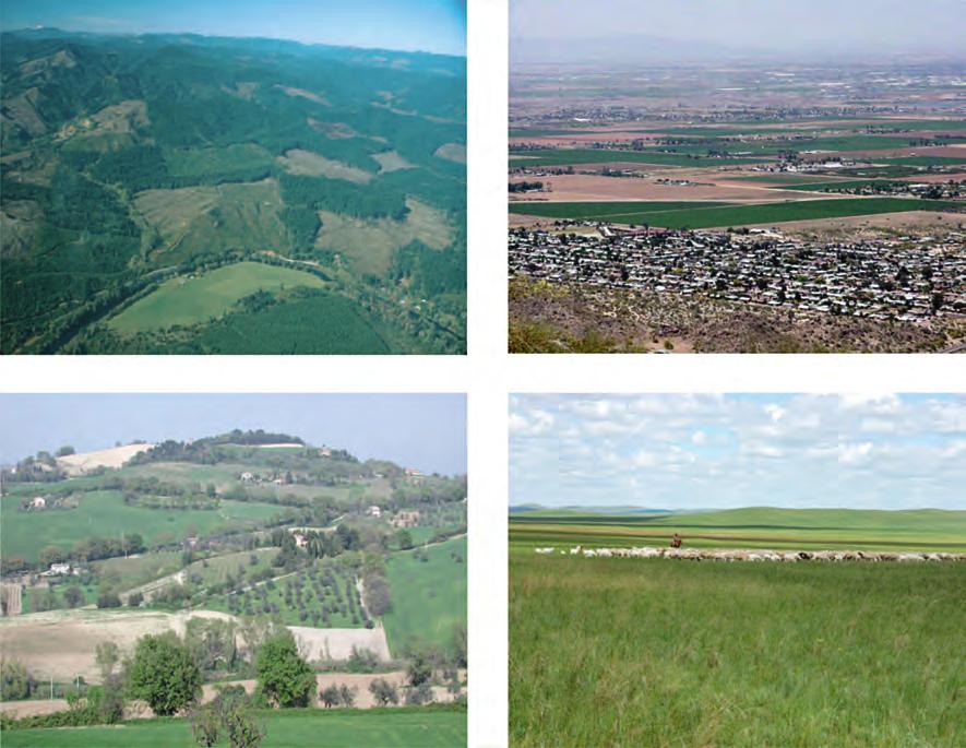 2 General Ecology landscape Ecology (a) (c) (b) f0005 Figure 1 Different kinds of landscapes as spatial mosaics of various patches on a range of scales.