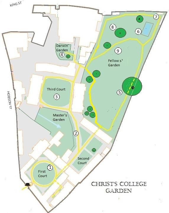 Welcome to the Gardens! Christ s College Gardens are open to members of the public free of charge. The College s entrance is through the Great Gate on St Andrew s Street.