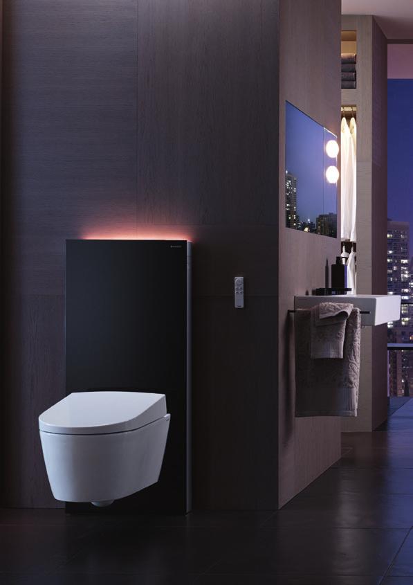 The clever choice. Geberit Monolith Plus. The Geberit Monolith Plus sanitary module for WCs is truly multi-talented.
