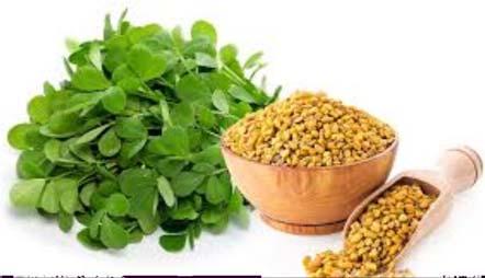 Page 10 PIONEER PATHS June Herb of the Month - Fenugreek Okay, just how many of you have ever grown fenugreek and how many of you have ever cooked with it?