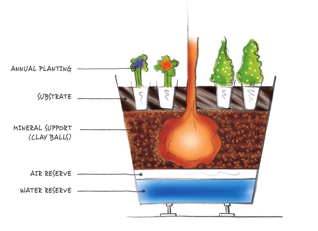 There are two water reserves which include clay balls (an enriched substrate), that can catch, store and return water to the plant when needed through osmosis.