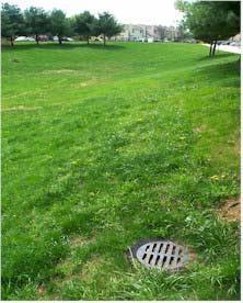 The rain garden should drain within 72 hours. The garden should be at least 10-20 feet from a building s foundation and 25 feet from septic system drainfields and wellheads.