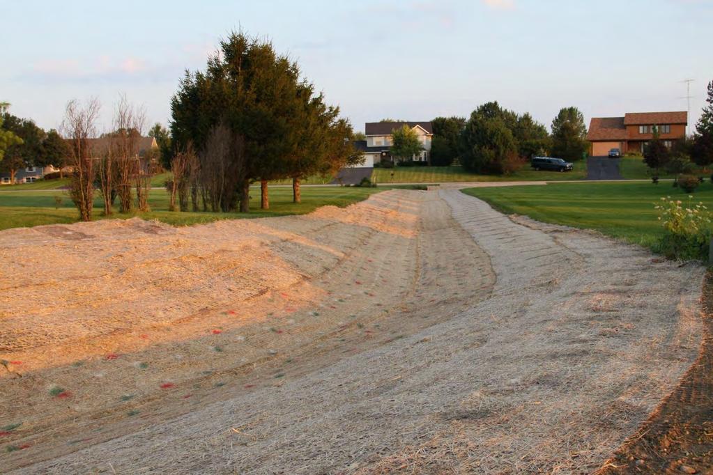 Phase 2 Ditch