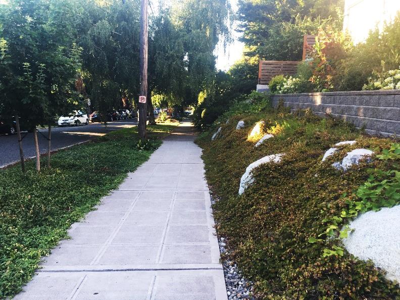 G. Gardens plant cover, and vegetated rock walls: Compare some of the different yards that you have seen. How do they help with stormwater or not?