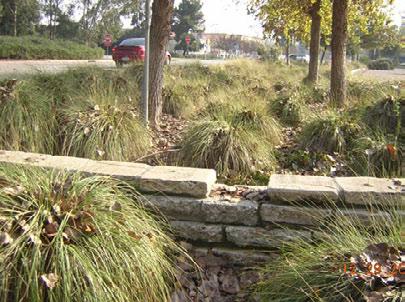 Weirs allow maximum flexibility by having an adjustable system to dictate ponding depth. Check dams and weirs can be strategically placed in rain gardens to dictate the ponding depth of runoff.