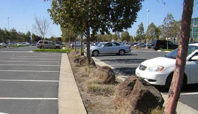 Figure C-7. Failed circulation in parking lot. Due to poor design, people have trampled this parking lot swale to the point that the landscape cannot thrive. Figure C-8.