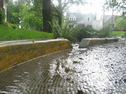 Curb cuts allow stormwater to enter a rain garden at specific points along a curbed condition, thus concentrating runoff both in velocity and in volume.