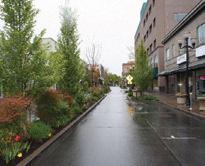 New Construction: When building new streets, deciding what kind of street profile a particular street will have is one of the first steps in determining what kind of rain garden to use.