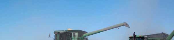 Introduction Soybean can be harvested at the