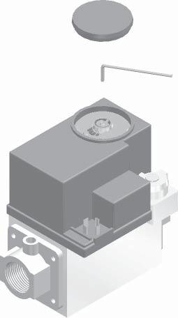 After adjustment is complete, attach the propane conversion label (in the conversion kit bag) next to the boiler rating plate.
