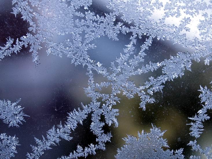 Ice Crystals The ice crystals look very pretty on the glass but they can be fatal to the bulbs as they rupture the