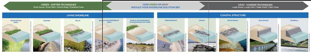 Combining Green and Grey: Hybrid Living Shorelines Why must we choose one or the other?