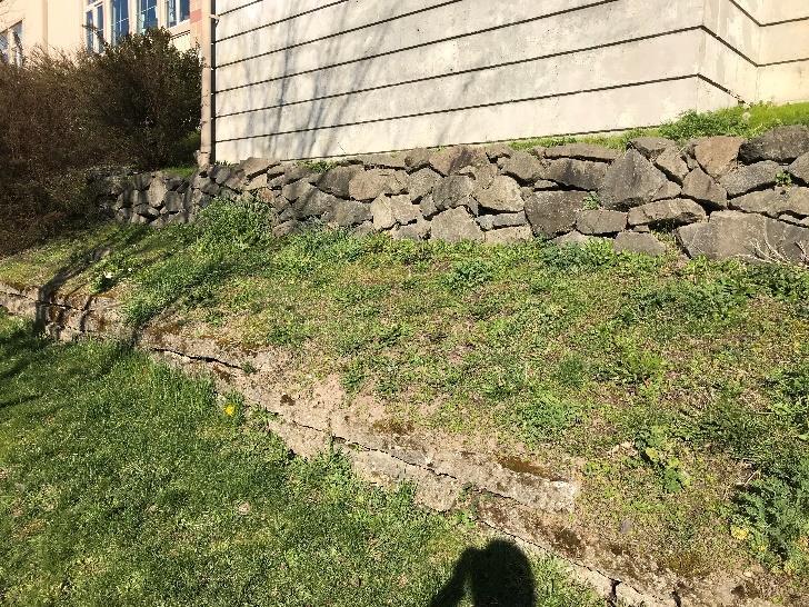 ) How do these surfaces and vegetation affect the stormwater runoff here? Think about the soil comparisons you studied in the models in class. Which does this type of soil most resemble?