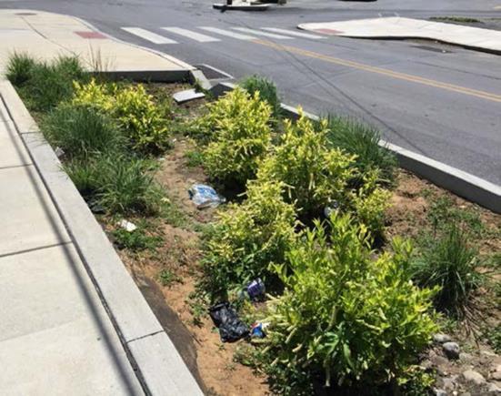 pavement surfaces Monthly (during growing season) weeding of rain gardens and