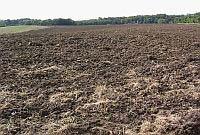 This is because the source of the organic matter is generally surface related, i.e. much of the organic matter comes from falling leaves and other plant debris and from decaying organisms that have occupied the top layers of the soil in huge numbers.