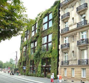 biodiversity Green walls Technology and applied science are