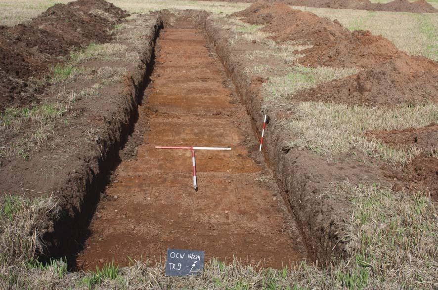 Plate 1. Trench 1, looking north, Scales: horizontal 2m, vertical 0.