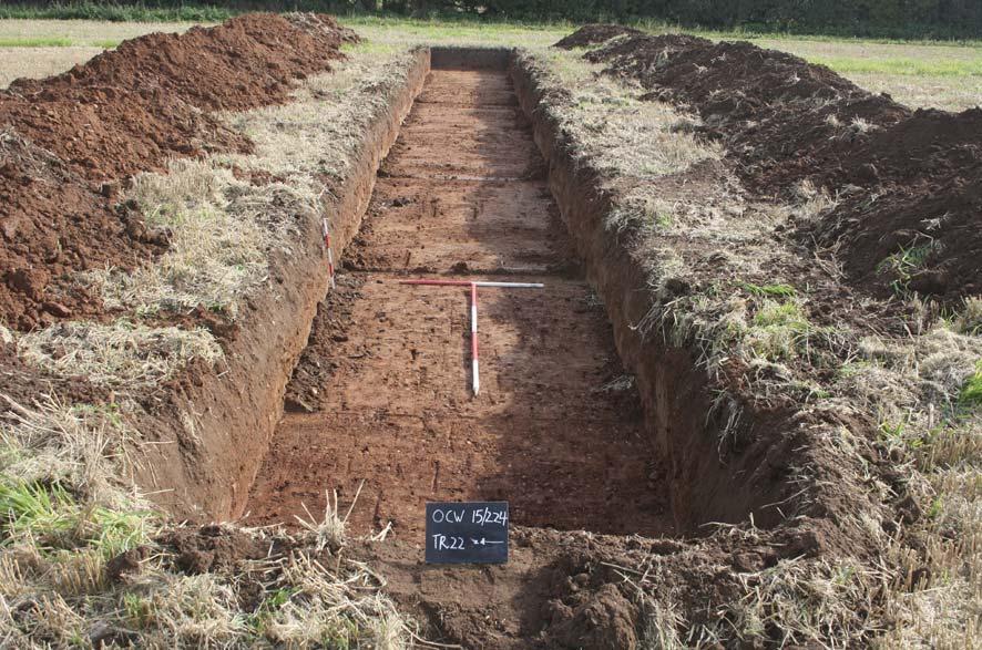 Trench 22, looking east Scales: horizontal 2m, vertical 0.5m.